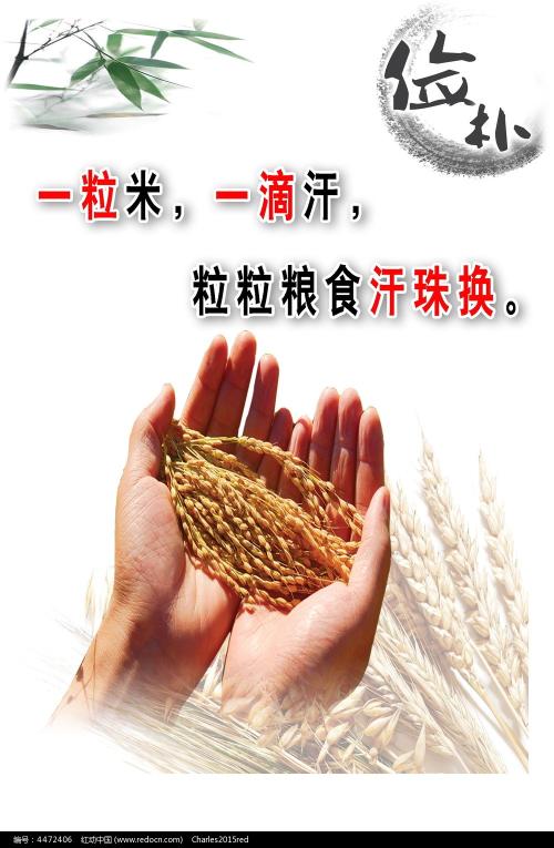 台湾换驾驶证需要什么材料